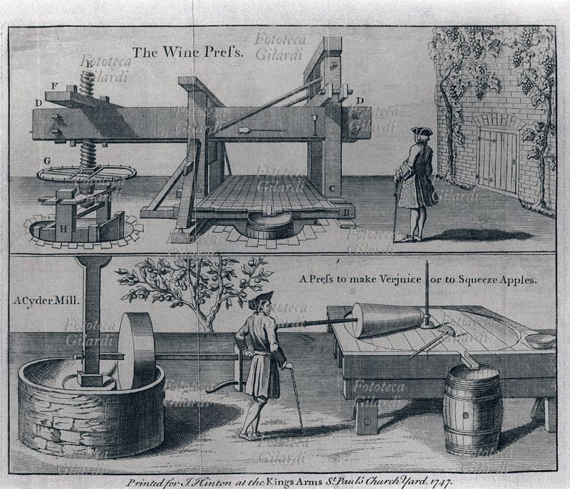 VINO Torchio per pigiare l\