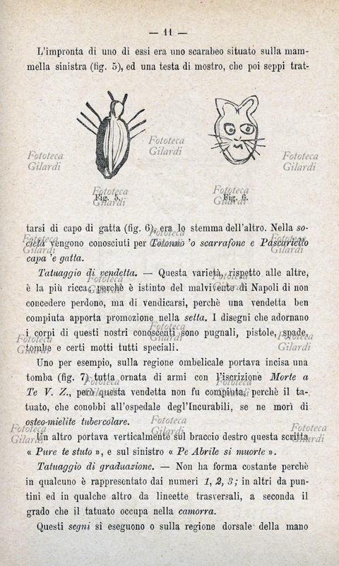 CRIMINAL ANTHROPOLOGY Beetle and head of a cat, drawings made for relief and study of tattoos of personepregiudicate. Illustrated page from \