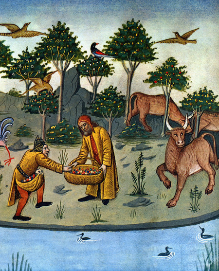ERBE CON PROPRIETA MEDICHE ERBE CON PROPRIETA MEDICHE