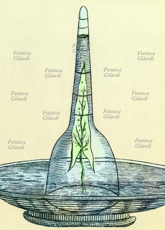 Jean SENEBIER (1742-1809) naturalista e letterato svizzero. Tavola che illustra un esperimento sulla respirazione delle piante: una foglia viene immersa in un contenitore pieno d\
