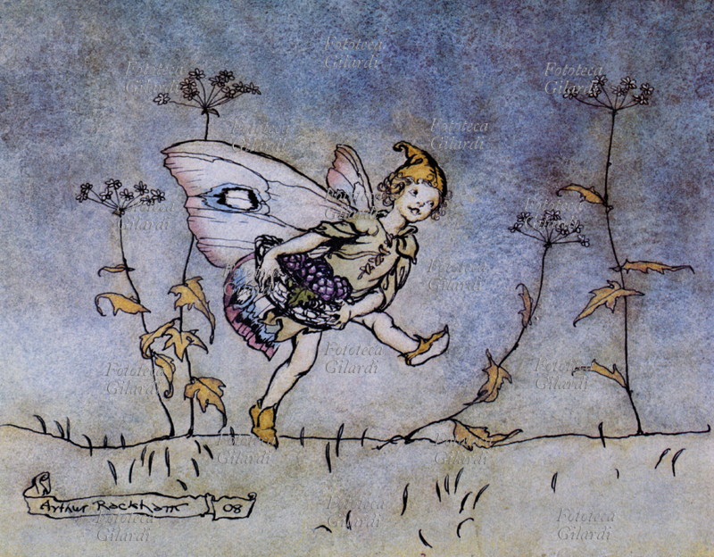 William SHAKESPEARE (1564-1616) elfo alato attendente di Bottom porta un cesto di more, acquarello per "Sogno di una notte di mezza estate". Illustrazione di Arthur Rackham (19 settembre 1867 – 6 settembre 1939) da una edizione illustrata britannica del 1908