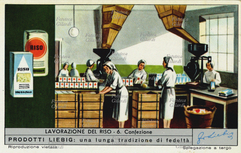 RISO Confezione: dopo dopo la brillatura o oleatura il riso è pronto per la confezione e vendita. Figurina Liebig della serie \