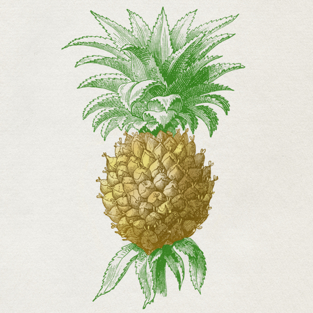 ANANAS ANANAS
