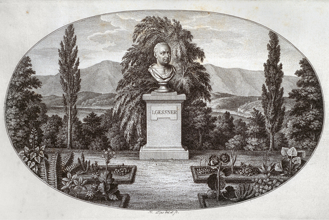 BUSTO DI JOHANN GESSNER