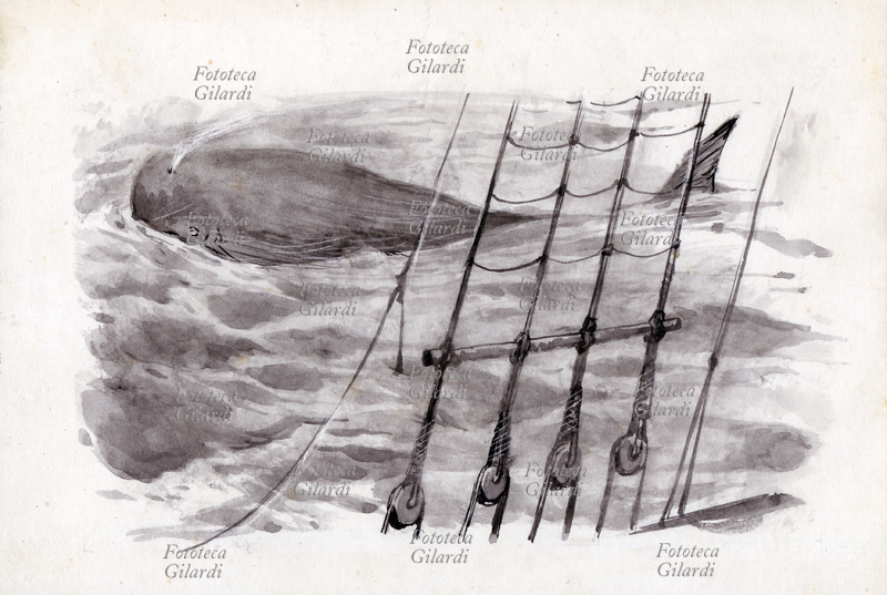 Herman MELVILLE (1819-1891) \