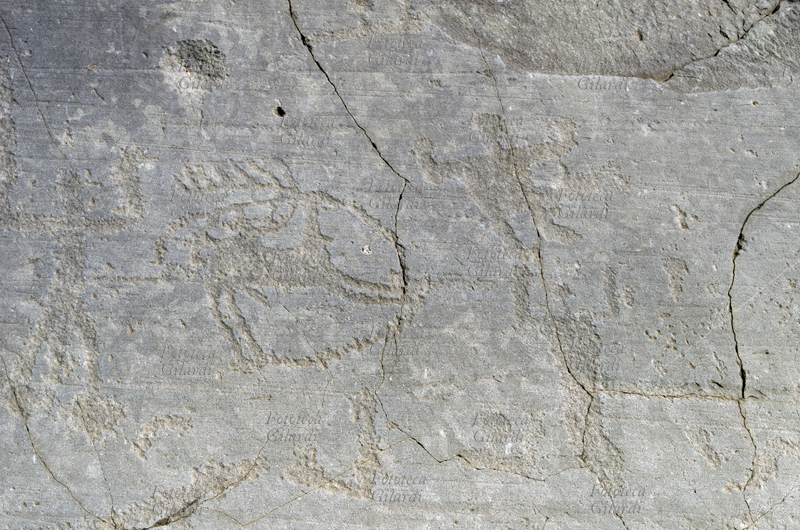 CAMUNI Caccia al cervo con il laccio, petroglifi su arenaria permiana. Parco Nazionale delle Incisioni Rupestri, età del ferro/bronzo - 5°/1° millennio a.C., sito riconosciuto dall\