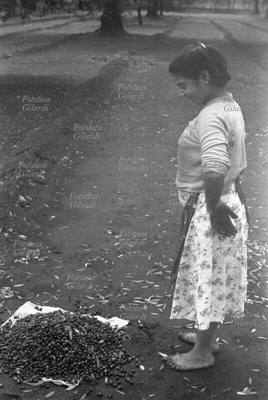 AGRICOLTURA giovane raccoglitrice di olive calabrese, a piedi nudi nell\