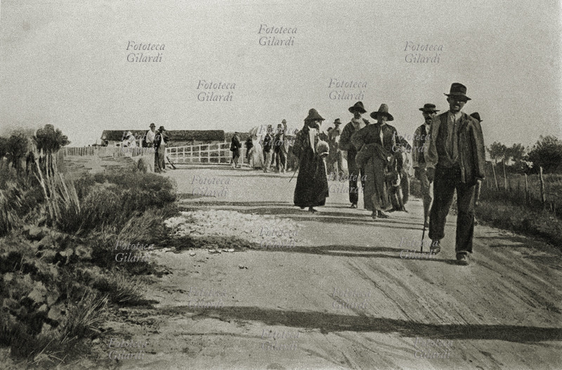 MOTI CONTADINI Ferrarese, dimostranti in sciopero Italia, luglio 1901.