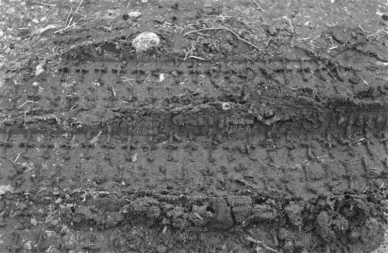 ITALIA Impronte di pneumatici lasciate nel fango dalle camionette della polizia, nel luogo dove fu ucciso Rocco Girasole. La rimozione del fango che aveva invaso le strade del paese era lo scopo dello sciopero a rovescio organizzato dai braccianti disoccupati, per esortare le autorità ad impiegare la manodopera disponibile nei lavori necessari, con il doppio beneficio di diminuire la disoccupazione e migliorare la vivibilità del paese. Fotografia di Ando Gilardi (1921-2012) #andogilardi, parte di un ampio servizio realizzato per \