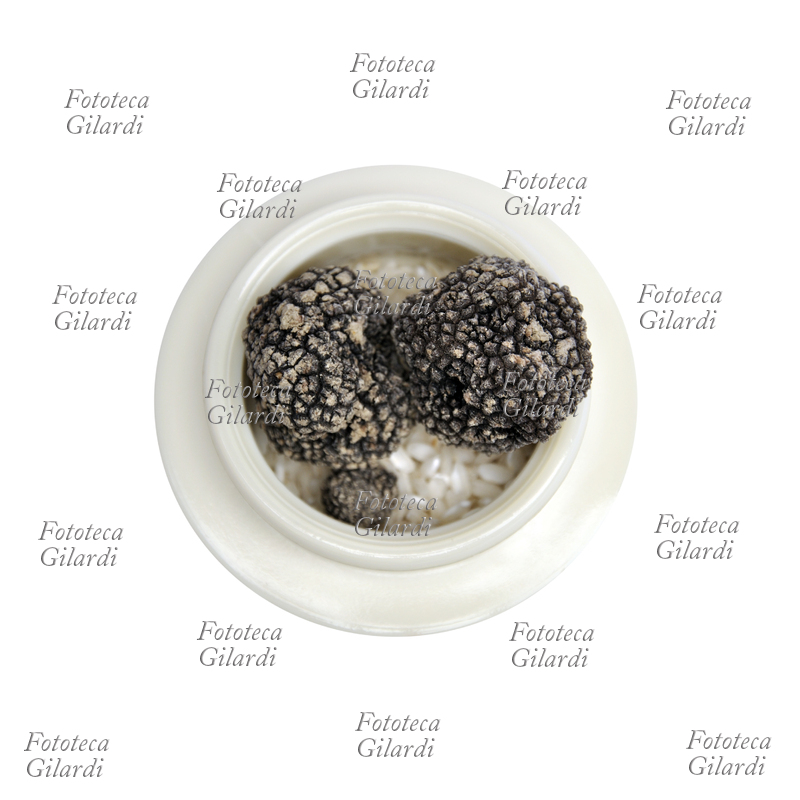 TARTUFO NERO e riso crudo - fungo ascomicete commestibile a forma di tubero, molto ricercato in gastronomia per il suo particolare aroma; raccolto in Piemonte, zona Langhe - Monferrato. Fotografia Patrizia Piccini 2010