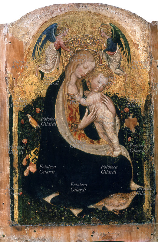 PISANELLO (Antonio Pisano, 1395-1455) Madonna della quaglia. Maria col Bambino incoronata dagli angeli. Dipinto su tavola, 1420