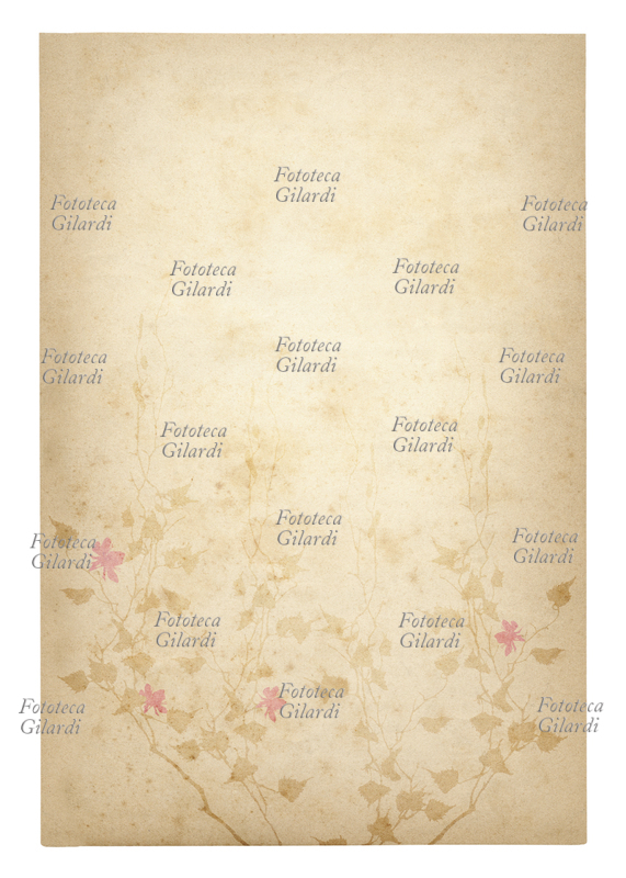 CARTA vintage Foglio decorato con composizione di erbe. Computer Art Elena Piccini, 2010