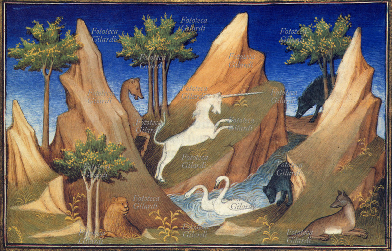 Marco POLO (1254-1324) Un magnifico unicorno bianco rampante in un paesaggio fantastico popolato da altri animali: due cigni in un fiume, un orso, un cinghiale, una volpe, un leone, un cammello. Stampa da miniatura dal Libro delle Meraviglie, XIV secolo