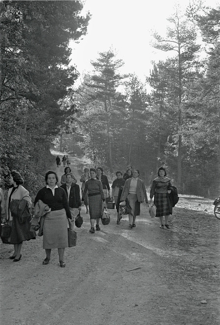 LE MOGLI DEI MINATORI DI MONTE AMIATA LE MOGLI DEI MINATORI DI MONTE AMIATA