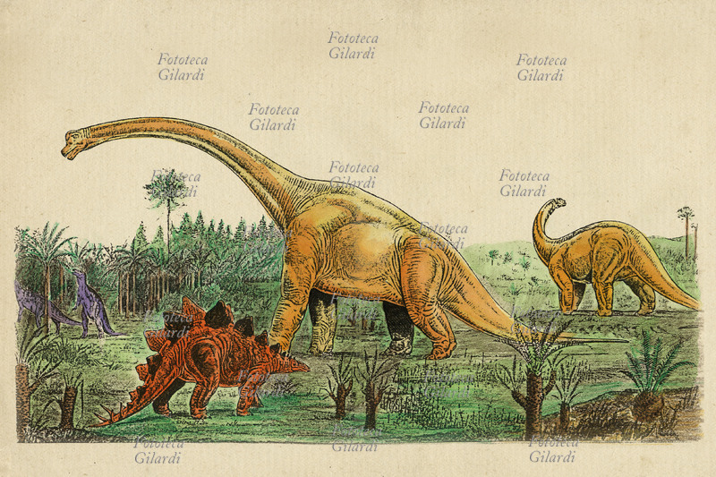 PREISTORIA Disegno raffigurante alcuni dinosauri erbivori nel loro paesaggio naturale in epoca preistorica.