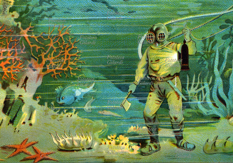 PALOMBARO Tavola illustrata didattica raffigurante l\