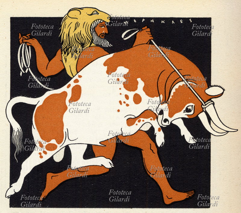 MITOLOGIA Ercole cattura il Toro di Creta settima delle dodici fatiche di Ercole. Illustrazione di Vsevolode Nicouline e Giannina Lavarello, per il volume \