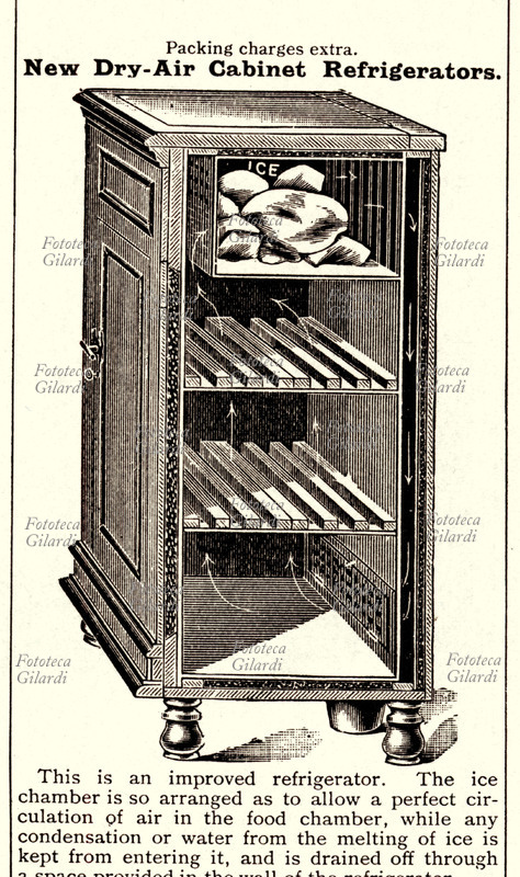 ALIMENTAZIONE ghiacciaia domestica, per riporre e conservare al fresco gli alimenti. Questo modello combina il freddo prodotto dal ghiaccio alla circolazione dell\