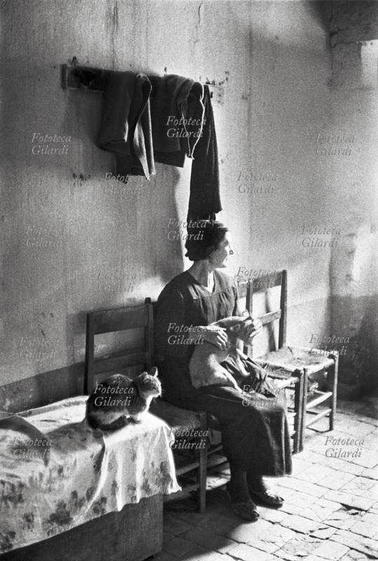 LUCANIA Maciara del paese con i suoi gatti e il suo cagnolino in braccio. All\