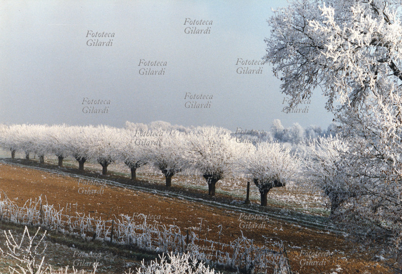 INVERNO brinata sul Pian Burio. Veduta suggestiva dell\