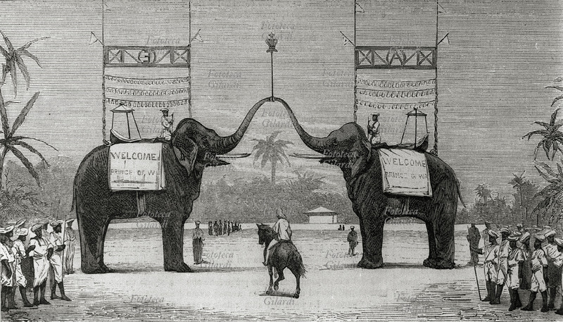 INDIA arco trionfale costituito da elefanti in occasione della visita in India del Principe di Galles, poi Re Edoardo VII. Ceylon, 1875-76.