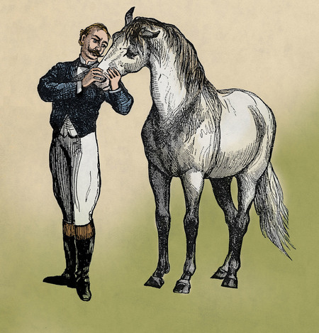 DOMATORE PARLA AL SUO CAVALLO