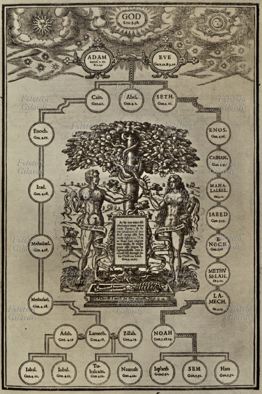 ALBERO GENEALOGICO genealogia biblica Biblica da un\