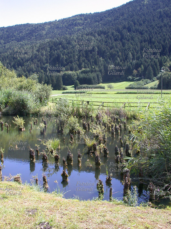 PALAFITTE di Fiavé-Carera in Trentino. La scoperta dell\