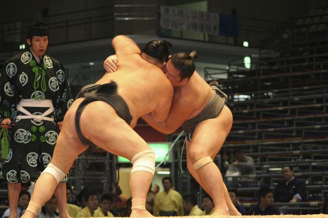 LOTTATORI DI SUMO E ARBITRO