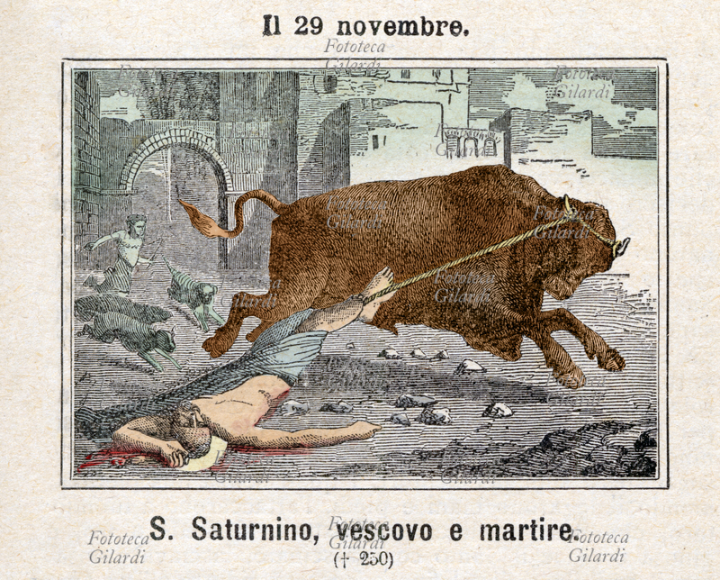 SAN SATURNINO di Tolosa, martire ( ...- 230) venerato come santo dalla Chiesa cattolica. Vescovo cattolico di Tolosa, destò le ire dei pagani poiché, sì rifiutò di sacrificare nel tempio di Giove Capitolino, un toro. Dopo il suo rifiuto fu legato al collo di un toro inferocito che nella fuga ne martirizzò il corpo. Festa 29 novembre. Incisione colorata, 1886