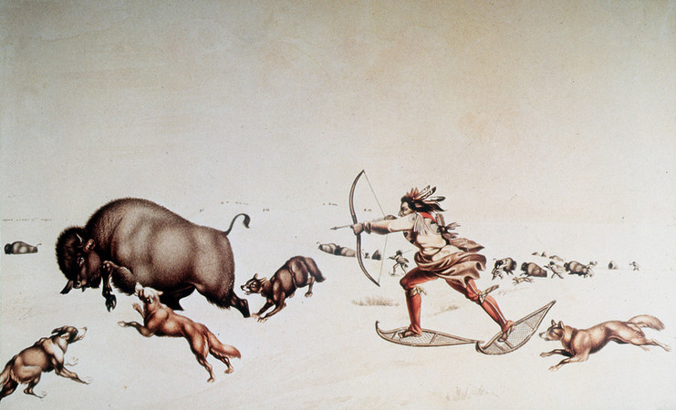 CACCIA AL BISONTE CACCIA AL BISONTE