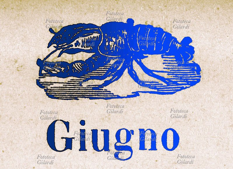 ZODIACO Cancro, Giugno. Elaborazione di xilografia da almanacco del 1913 \