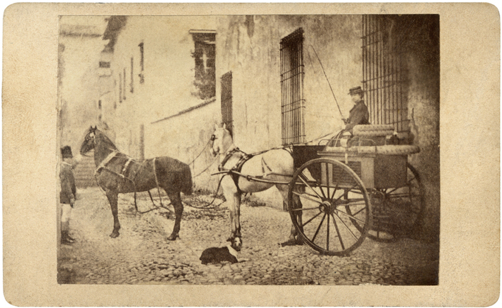 DONNA ALLA GUIDA DI UNA CARROZZA DONNA ALLA GUIDA DI UNA CARROZZA