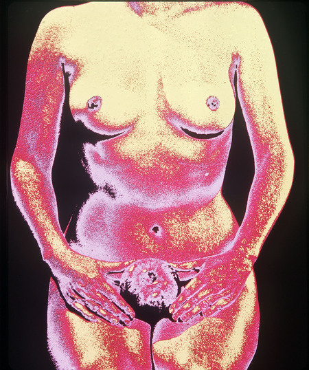 COLOR G EVA E LA MELA