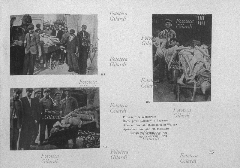 SHOAH Addetti al recupero dei cadaveri dopo una \