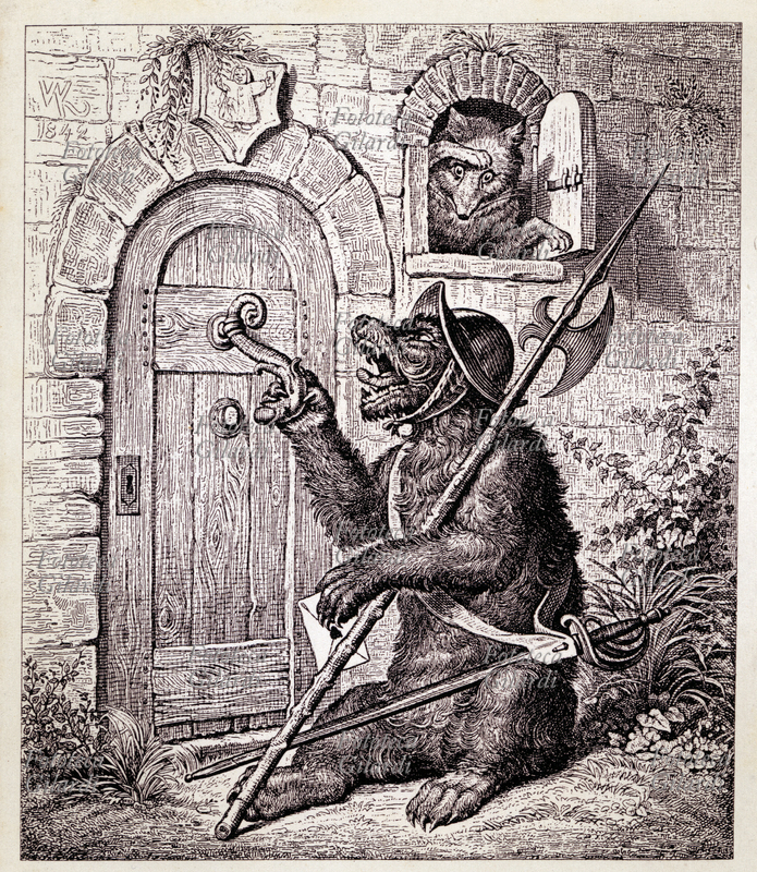 ROMANZO DELLA VOLPE L\