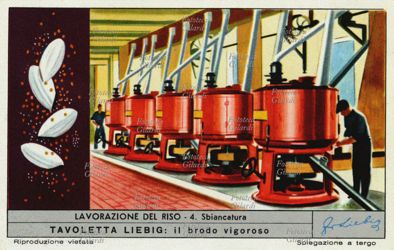 RISO Sbiancatura: la massa di riso sbramato è avviata alle sbiancatrici ove il riso è costretto a ruotare in un cono di smeriglio e appositi freni di gomma. Per ottenere una sbiancatura completa occorre passare lo sbramato tre o quattro volte nelle sbiancatrici. Figurina Liebig della serie \
