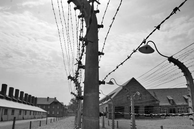 AUSCHWITZ VIEW THROUGH THE RAZOR WIRE AUSCHWITZ VIEW THROUGH THE RAZOR WIRE