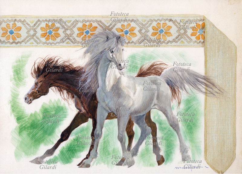 Jonathan SWIFT (1667-1745) illustrazione per il racconto \