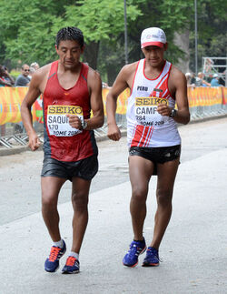 07.05.2016 Mondiali Marcia 50 km