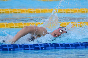 25.06.2016 Roma Stadio del Nuoto. Gare 53mo Settecolli
