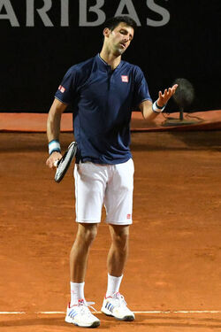 19.05.2017 Internazionali BNL Tennis. Djokovic vs Del Potro