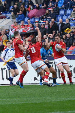 05.02.2017 Italia vs Galles 7 33 RBS Six Nations 35 Photos