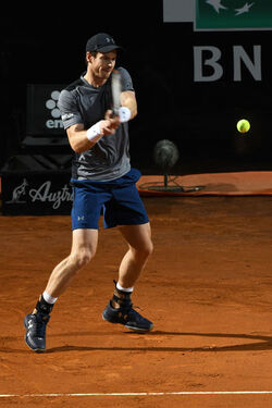 16.05.2017 Internazionali Tennis Fognini vs Murray 21 photos