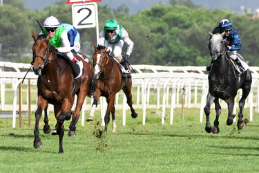 19.05.2024 Ippodromo Capannelle Derby Day Giuseppe Leanza ph