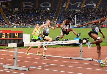 02.06.2016 Golden Gala. Roma stadio Olimpico. Seconda parte 02.06.2016 Golden Gala. Roma stadio Olimpico. Seconda parte