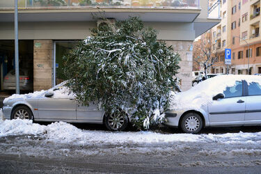 26.02.2018 Neve a Roma 22 photos