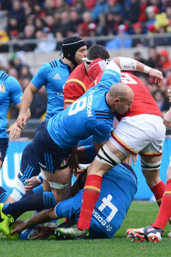 05.02.2017 Italia vs Galles 7 33 RBS Six Nations 35 Photos