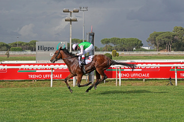 19.05.2024 Ippodromo Capannelle Derby Day Giuseppe Leanza ph