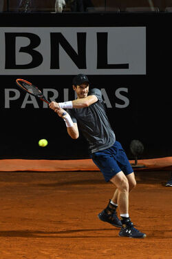 16.05.2017 Internazionali Tennis Fognini vs Murray 21 photos